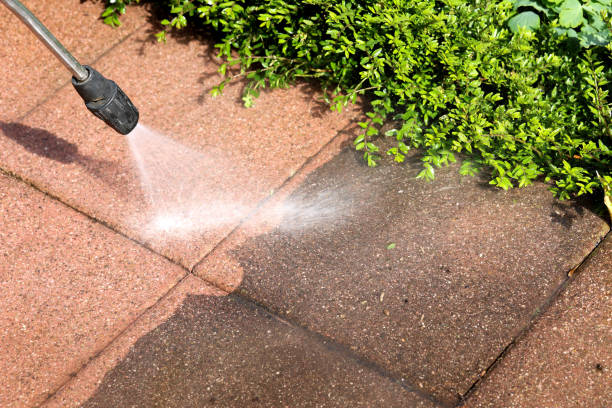 Roof Power Washing Services in Evans City, PA